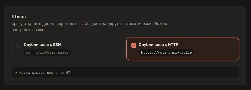 Раздел «Шлюз» мастера создания контейнера: отмечен чекбокс «Опубликовать HTTP» с адресом вида имя.msrv.space